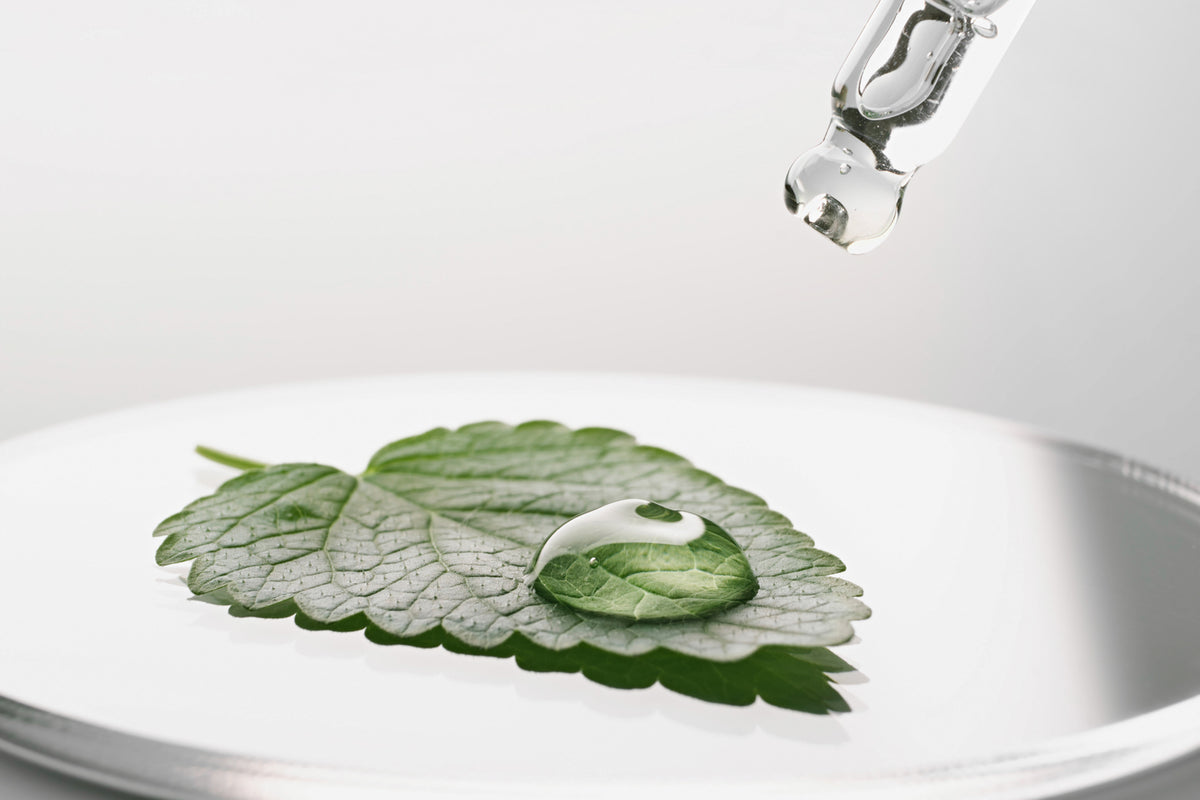 Feuille verte et goutte de soin dans une coupelle blanche