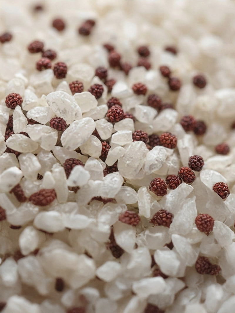 Raspberry seeds & Camargue rice grains