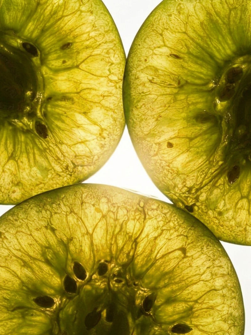 Kakadu Plump Extract