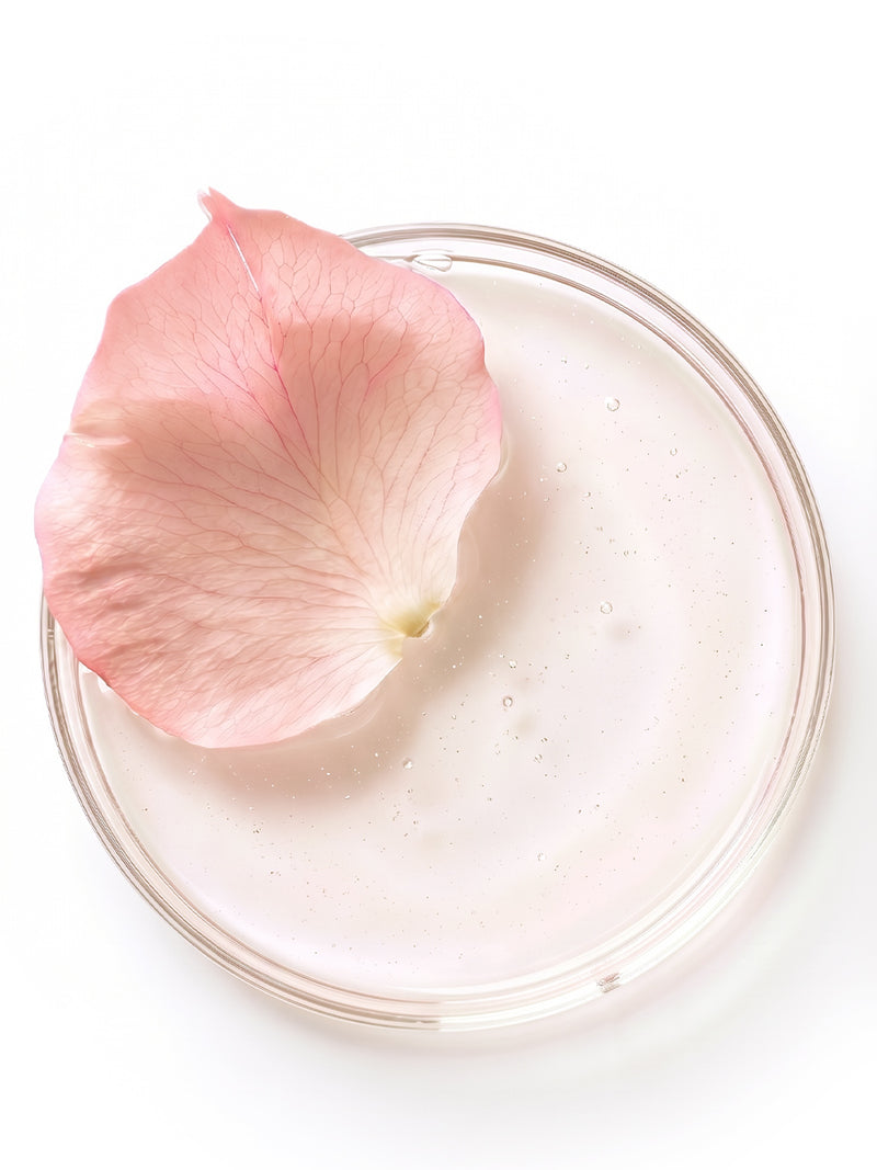 Duo exclusif de cellules souches de Rose Bernard Mas et de l'huile précieuse de fleur de porcelaine