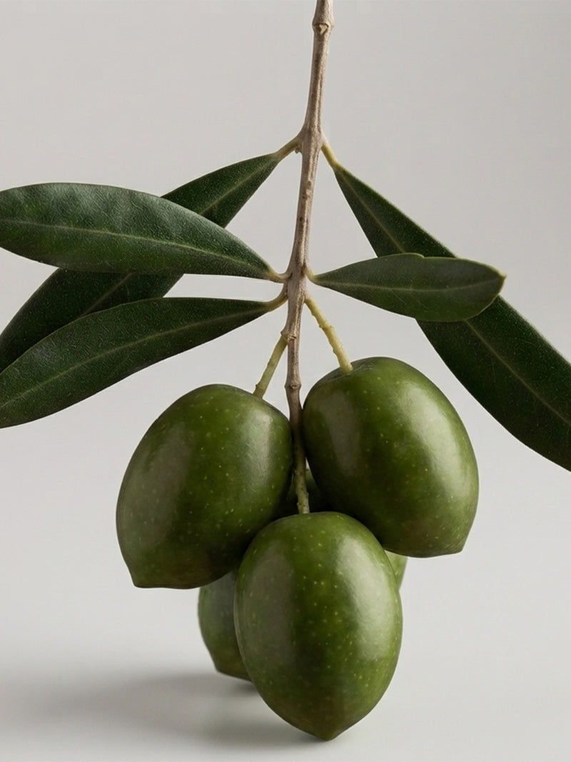Phytosqualane issu de l'huile d'olive